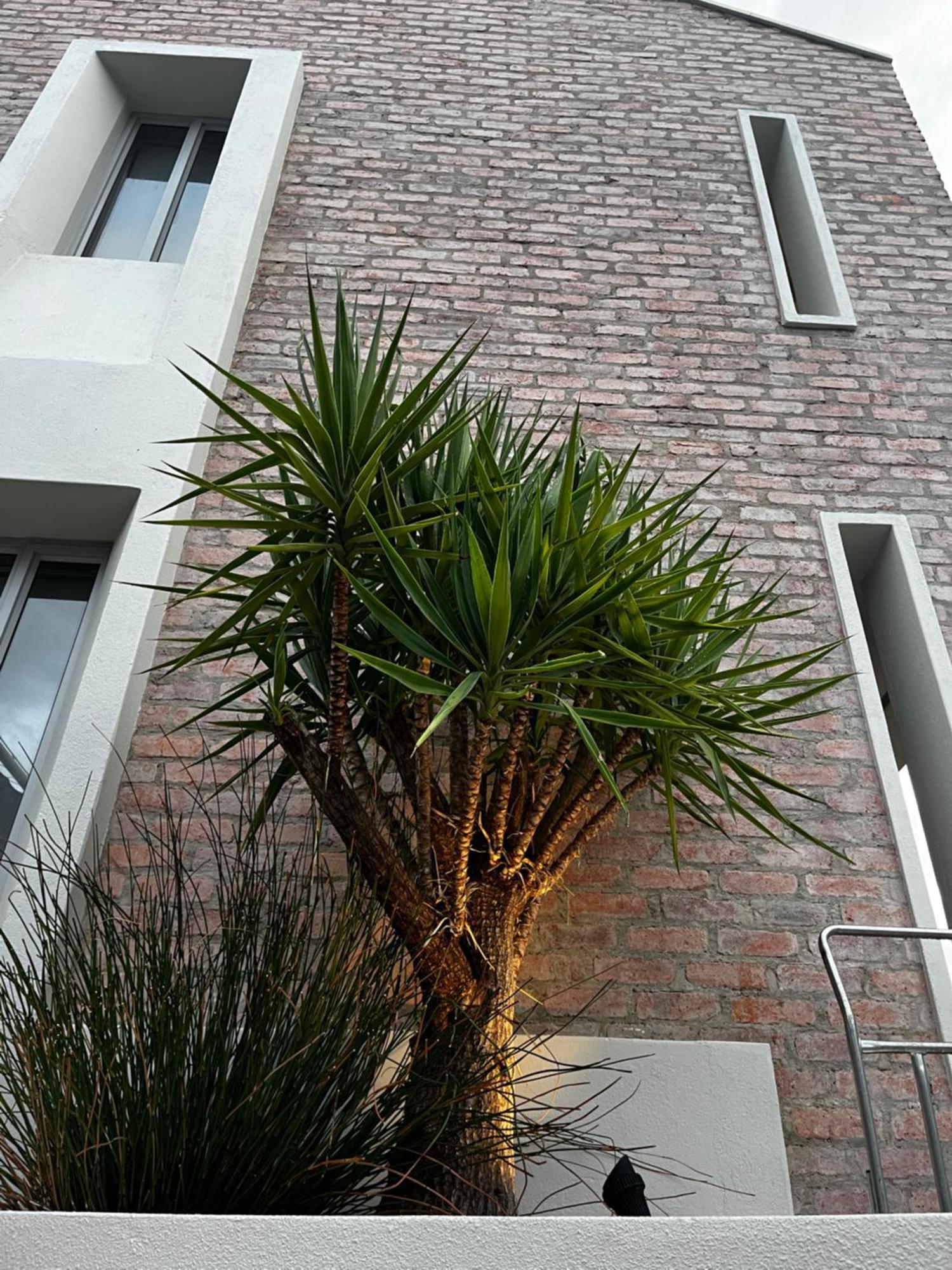 The Windhoek Luxury Suites Εξωτερικό φωτογραφία