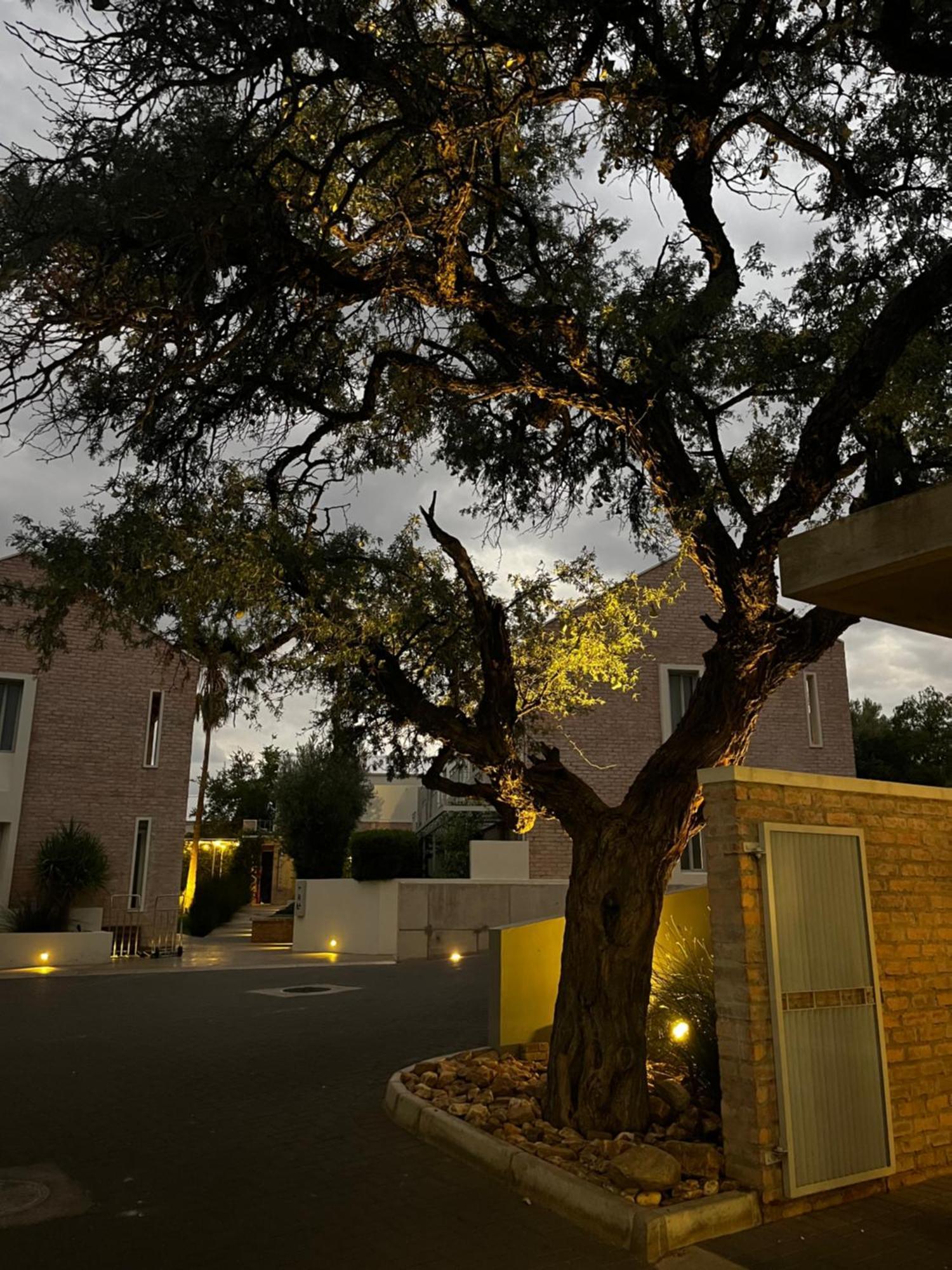 The Windhoek Luxury Suites Εξωτερικό φωτογραφία