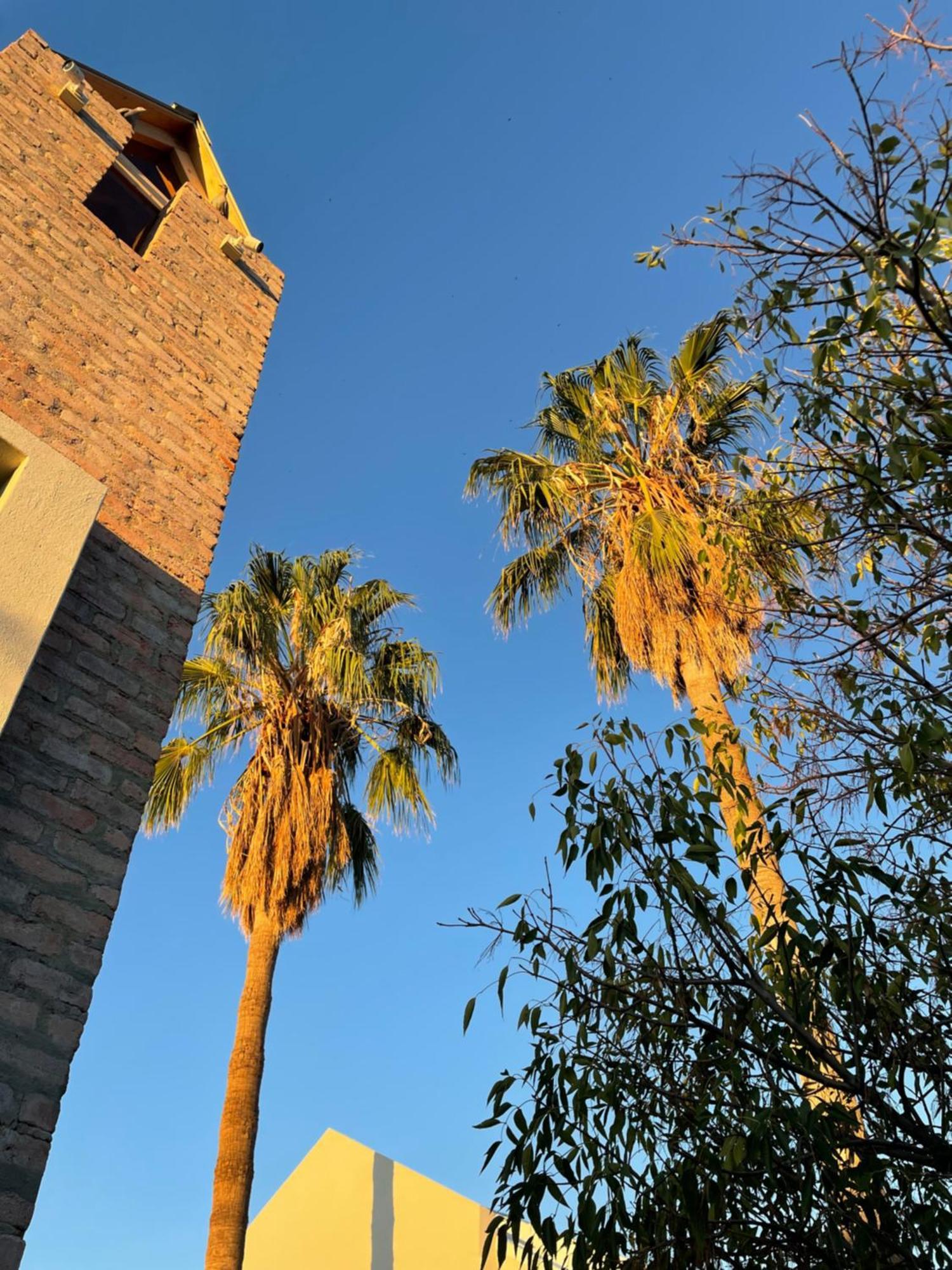 The Windhoek Luxury Suites Εξωτερικό φωτογραφία